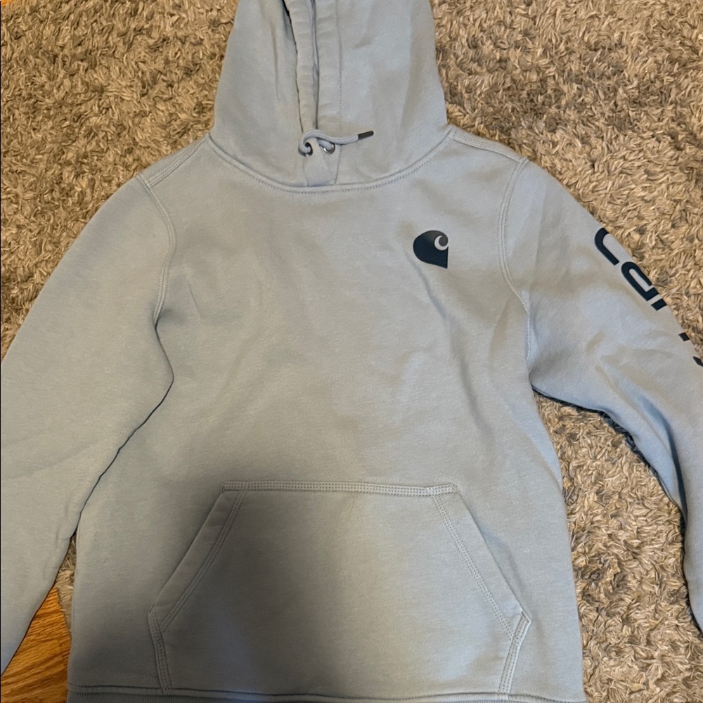 Carhartt Sky Blue Pullover Hoodie
